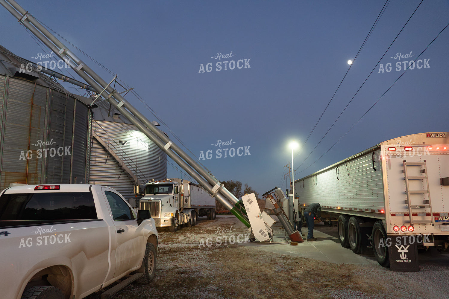 Unloading Grain at Bin Site 65514
