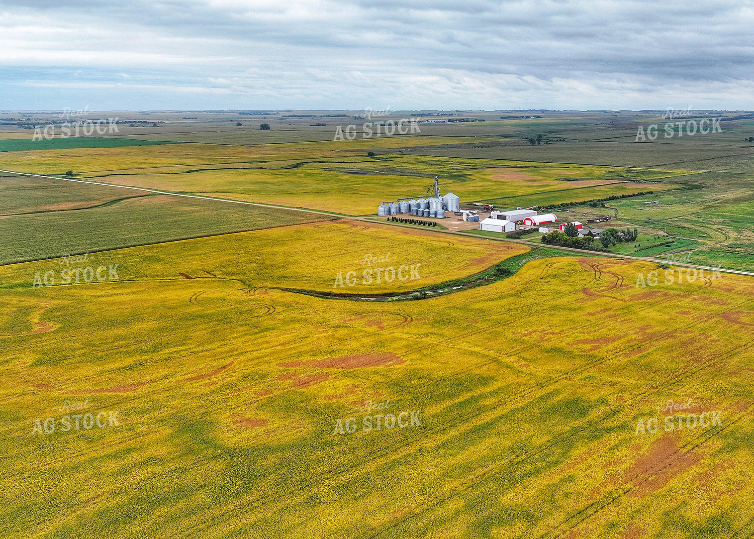 Scenic Farmland 141425
