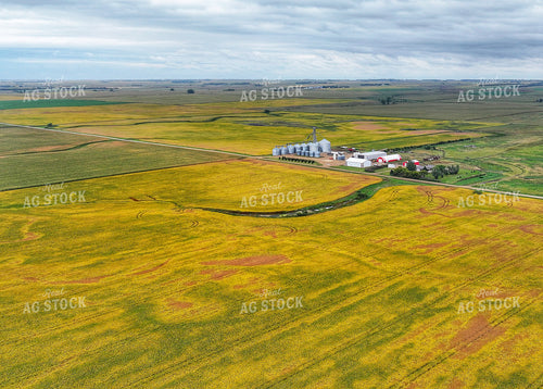 Scenic Farmland 141425