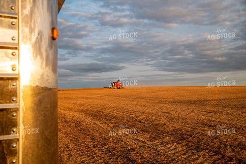 Combine Harvesting Soybeans 25695