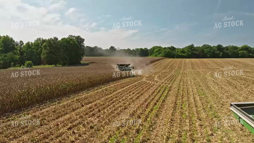 Corn Harvest 92068