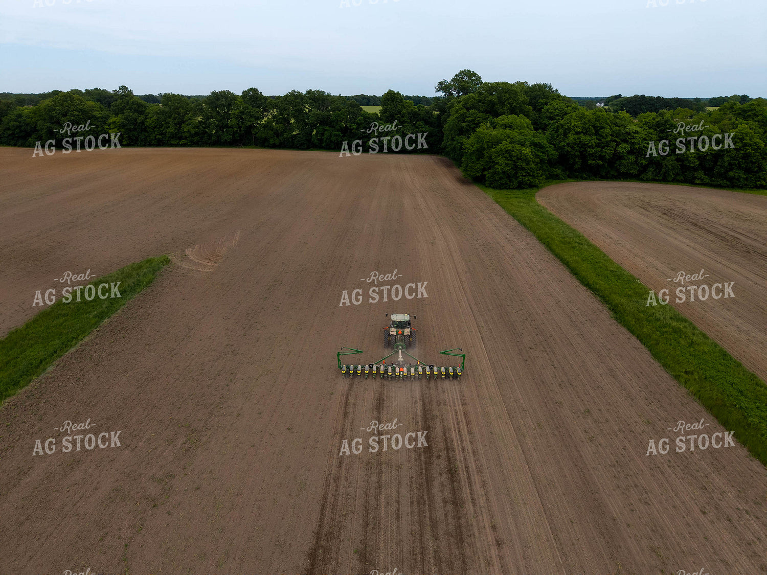 Planting 115675