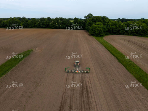 Planting 115675
