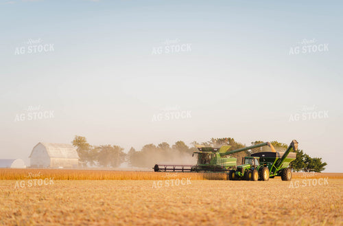 Soybean Harvest 115019