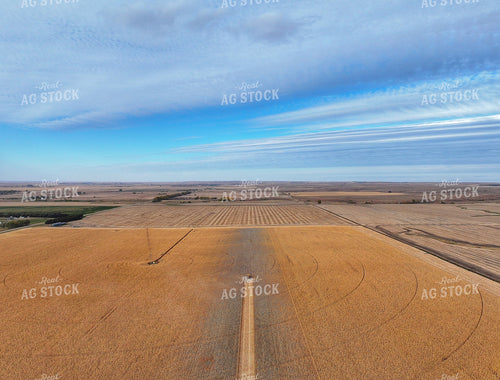Aerial of Corn Harvest 141190