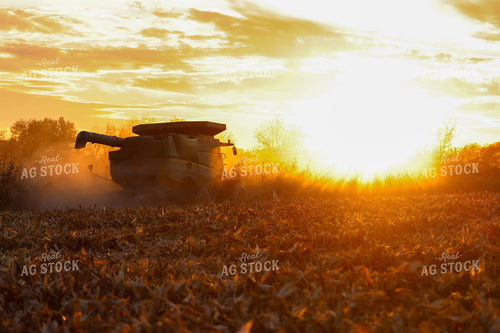 Corn Harvest at Sunset 160375
