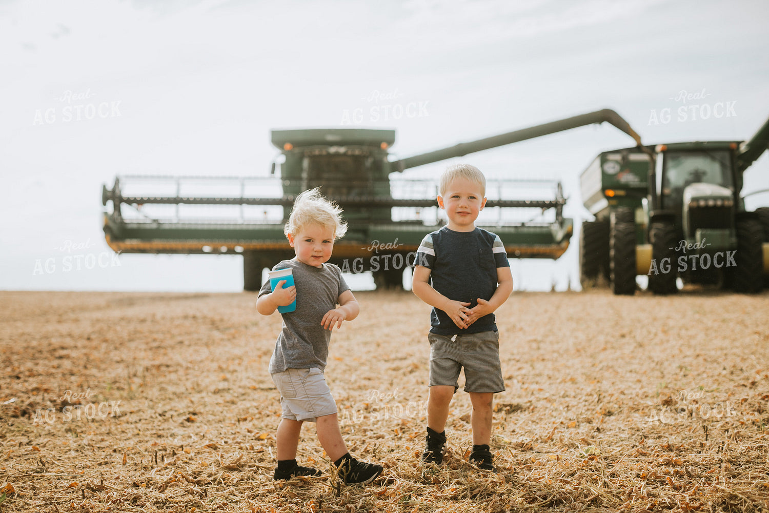 Farm Kids Tractor and Combine in Soybean Field 5243