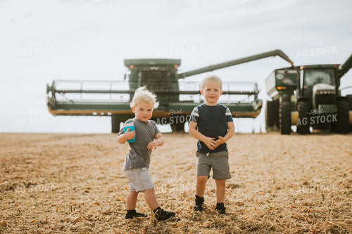 Farm Kids Tractor and Combine in Soybean Field 5243
