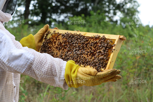 Beekeeper with Hive Frame 201020