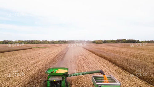 Corn Harvest 115190