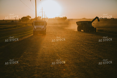 Tractor and Grain Cart Silhouette in Soybean Field 4751