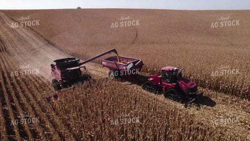 Corn Harvest 114084