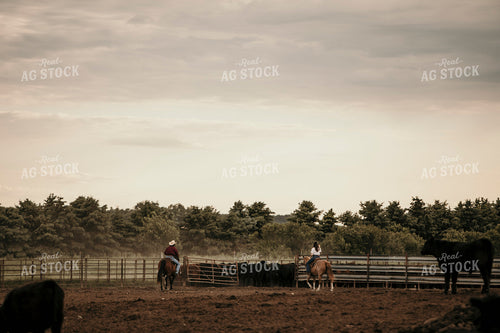 Feedyard 3072