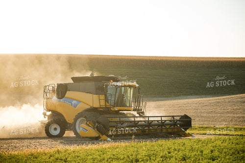 Soybean Harvest 215124