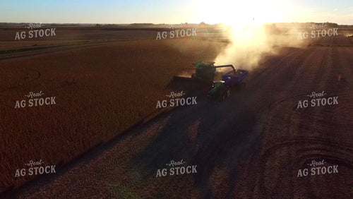 Aerial of Soybean Harvest 250020
