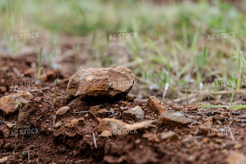 Soil in Vineyard 107057