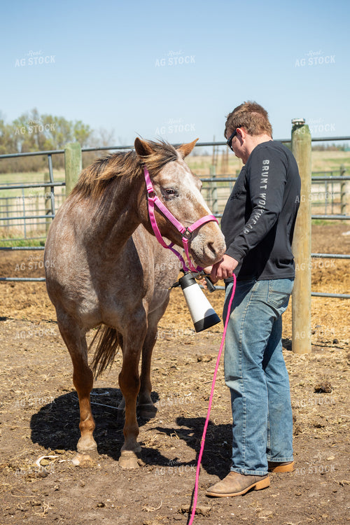 Farmer Grooming Horse 155584