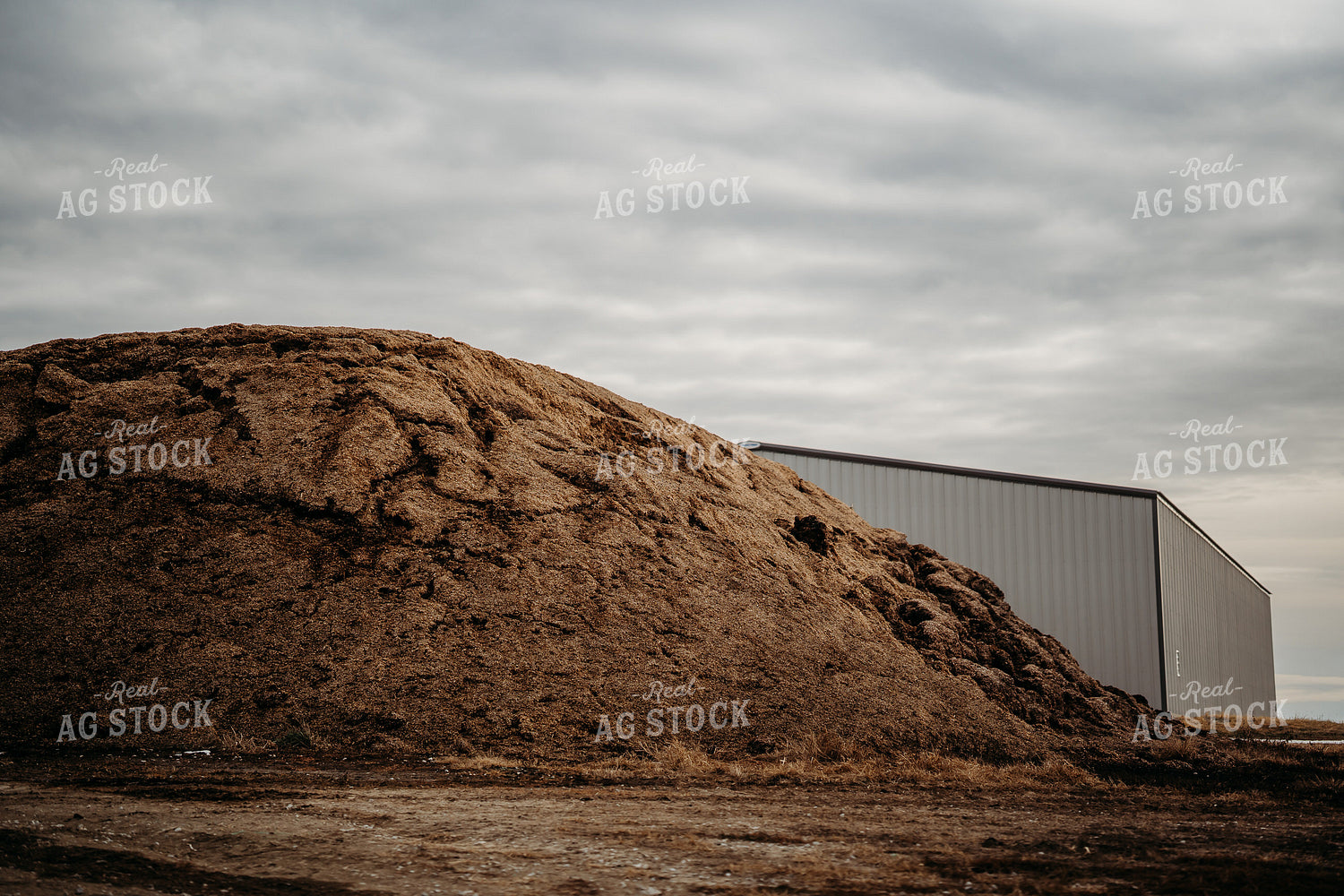 Uncovered Silage Pile 196182