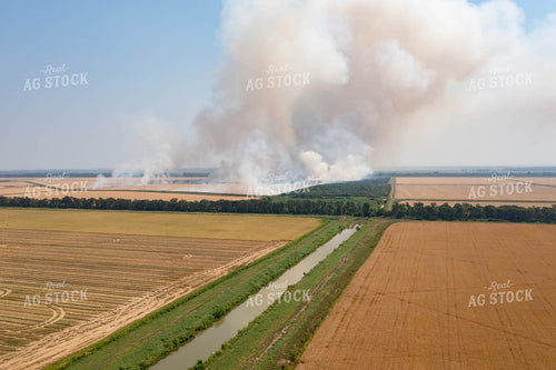 Field on Fire 79400
