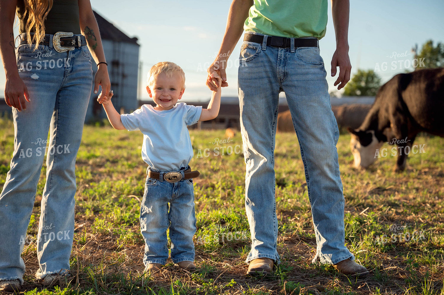 Farm Family in Pasture 115914