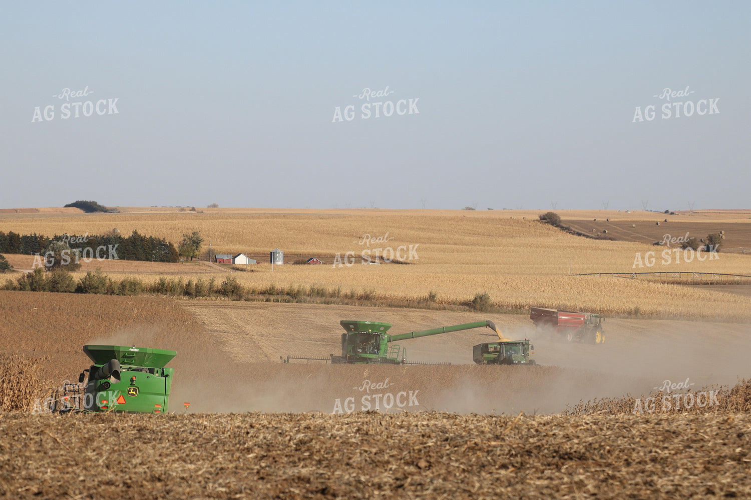 Corn and Soybean Harvest 82039