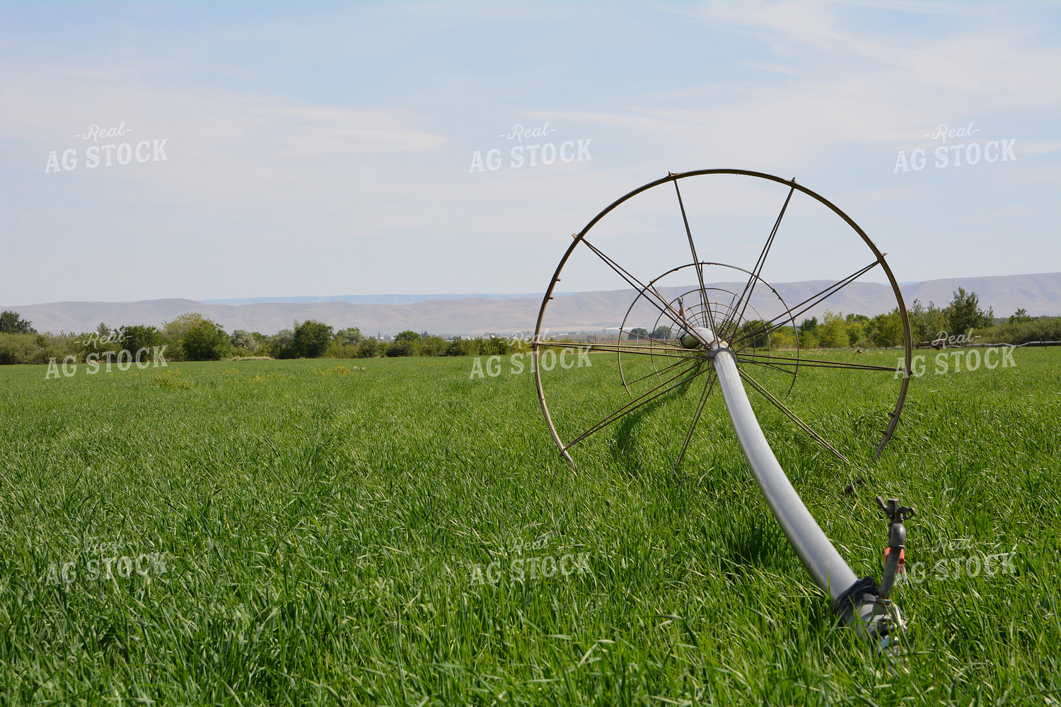 Irrigation Wheel Line 198005