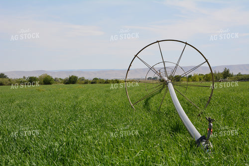 Irrigation Wheel Line 198005