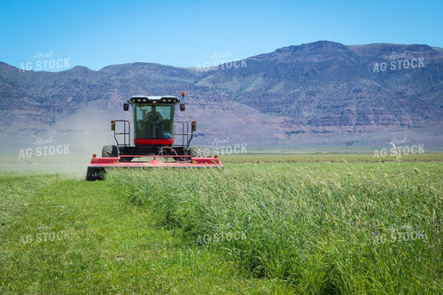 Cutting Summer Hay Alfalfa and Mixed Grass 78130