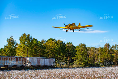 Crop Duster Spraying Cotton Field 136270