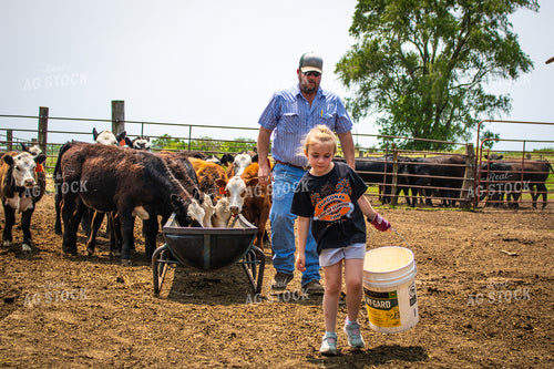 Farmer and Farm Kid Feeding Cattle 214162