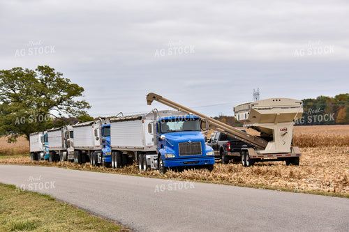 Corn Harvest 84209