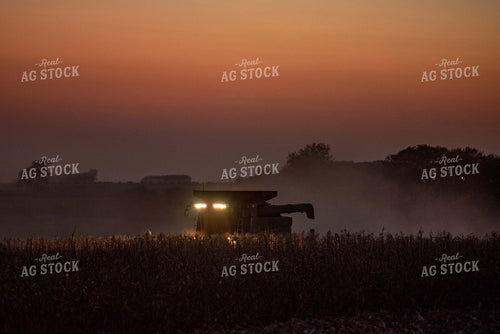 Corn Harvest 274042