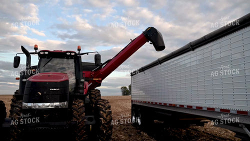 Grain Cart Unloading into Semi - 488