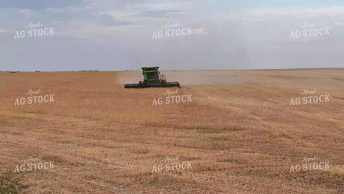 Wheat Harvest 239003