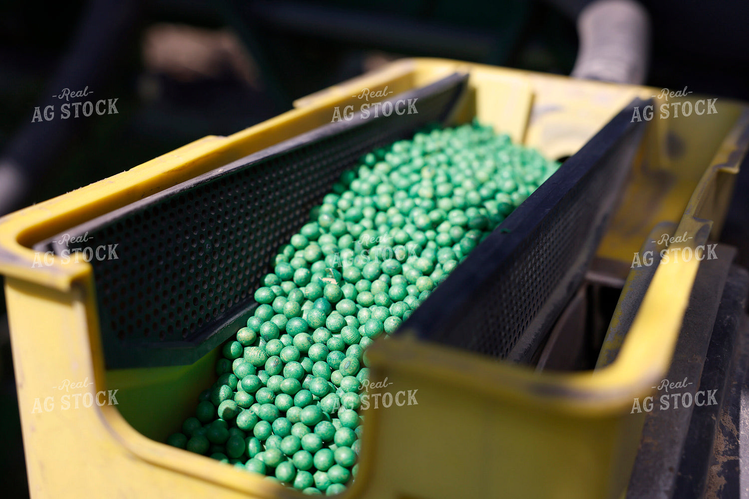 Seed in Planter Box 129092
