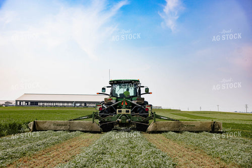 Cutting Hay 152002
