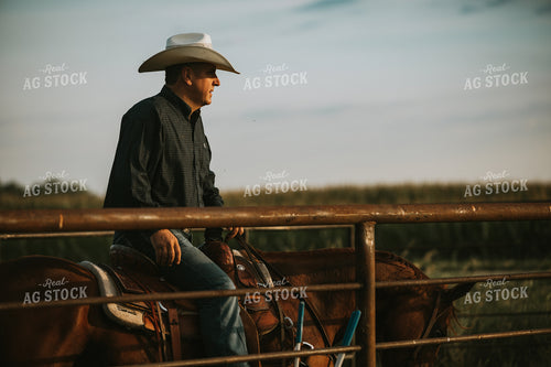 Rancher in Farmyard 6482