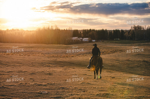 Female Rancher on Horseback 238007