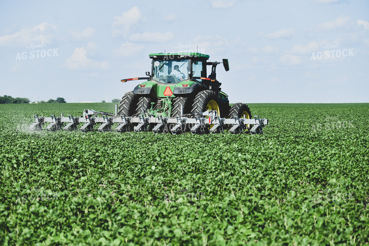 Ridge Tilling Between Rows of Soybeans 86004