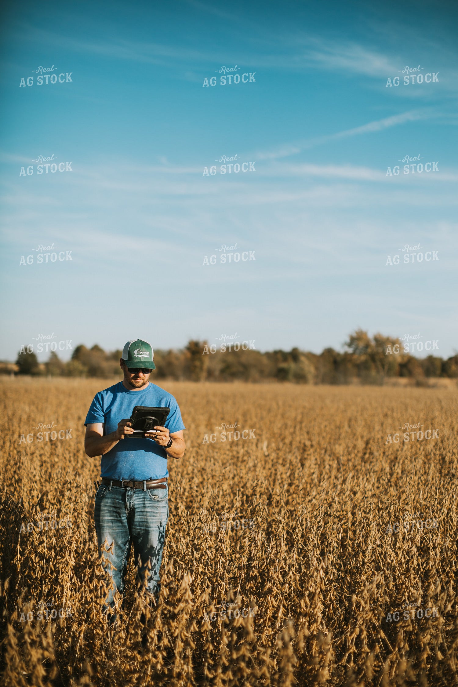 Farmer in Field with Tablet 7169