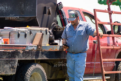 Cattle Producer Looking at Phone 214299