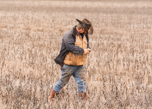 Rancher Using Phone while Walking 231057