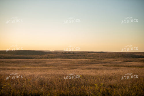 Scenic Pasture 212132
