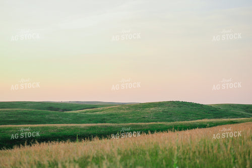 Hilly Pasture 123014