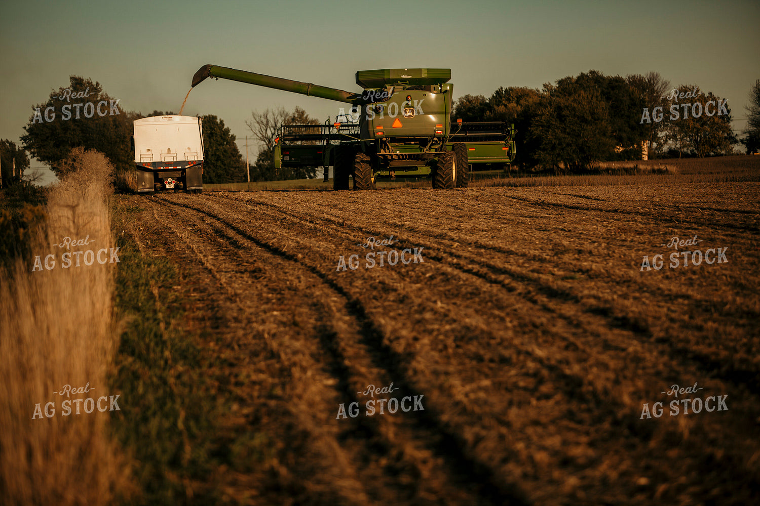 Harvest 2571