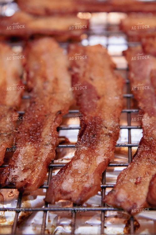Bacon Frying on Rack 67332