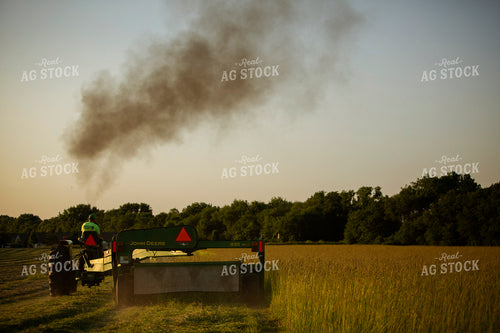 Cutting Hay 4960