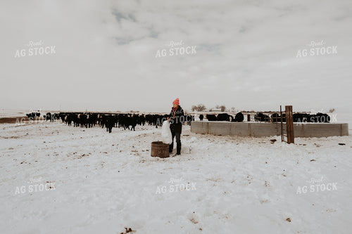 Female Rancher Feeding Supplements 61215