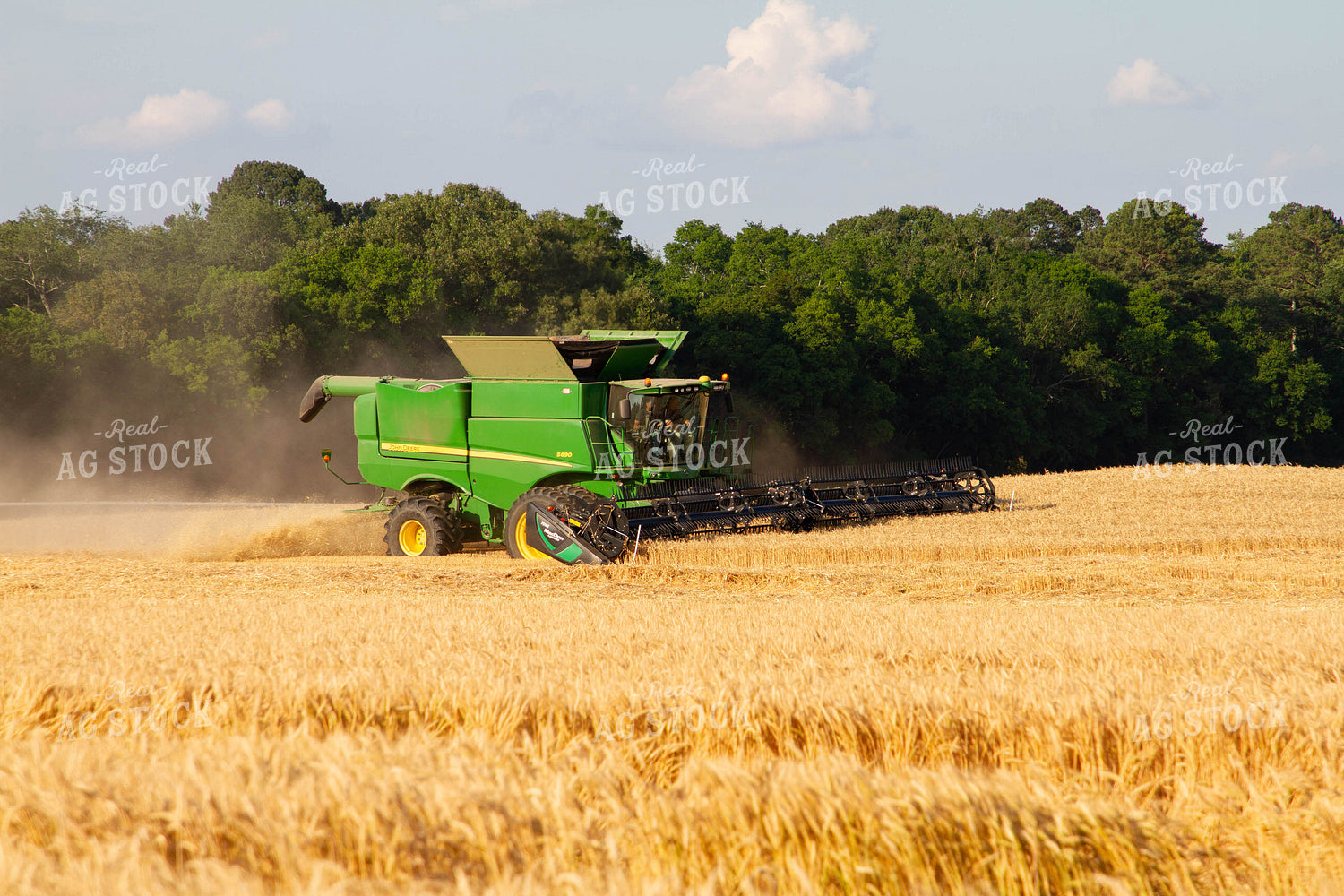 Wheat Harvest 79057