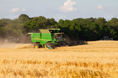 Wheat Harvest 79057